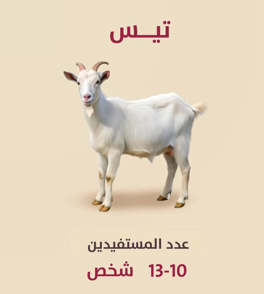 تيس