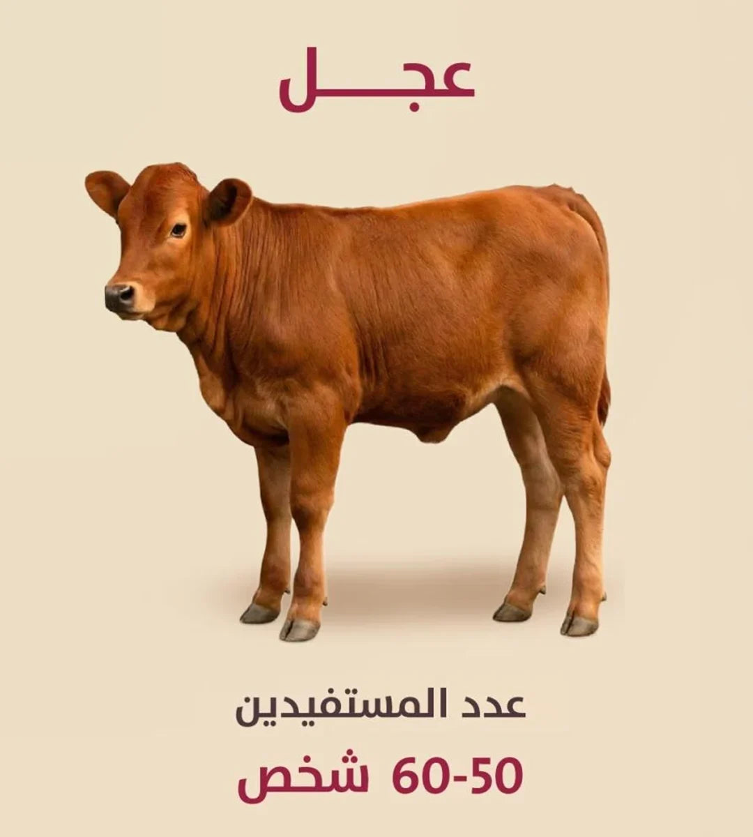 عجل