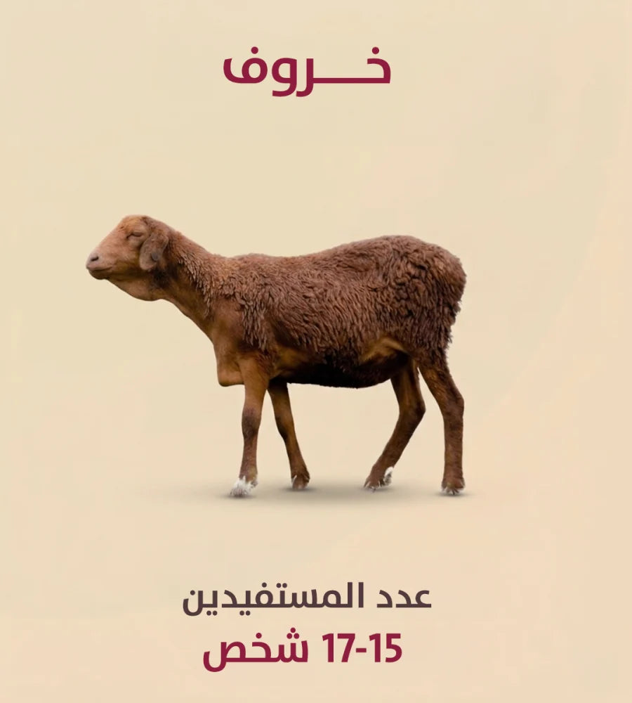 خروف